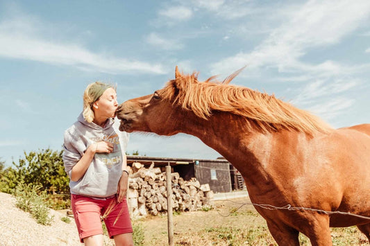 Cavallo che bacia la donna