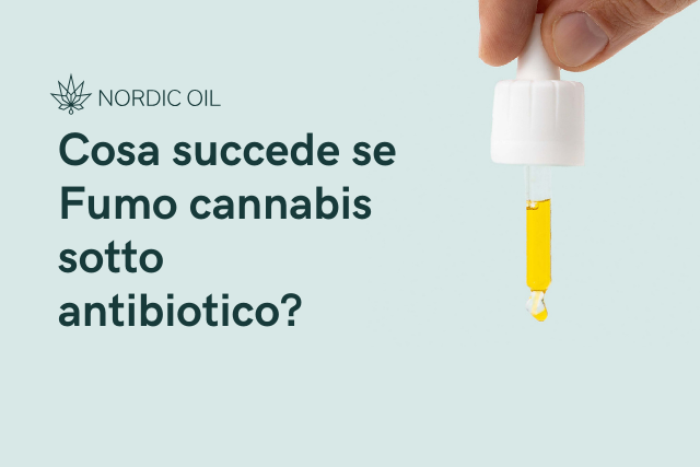 olio di cbd