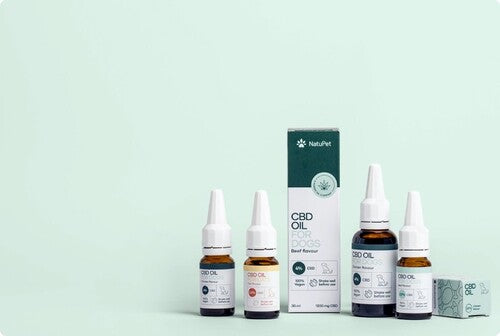 Guida ai prodotti di CBD per animali domestici