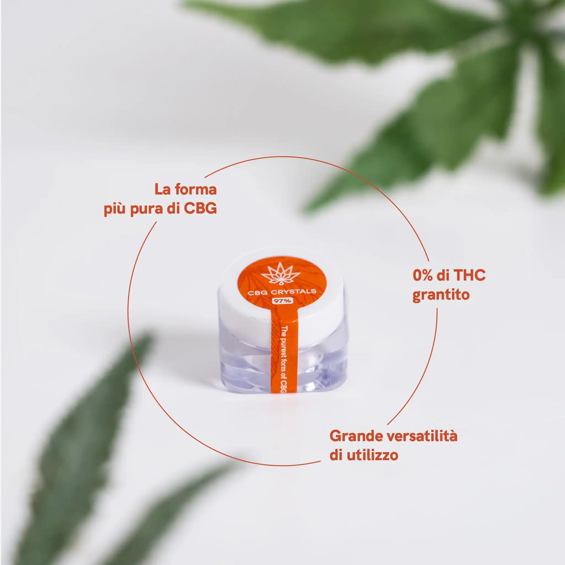 una mano di donna tiene il prodotto aperto