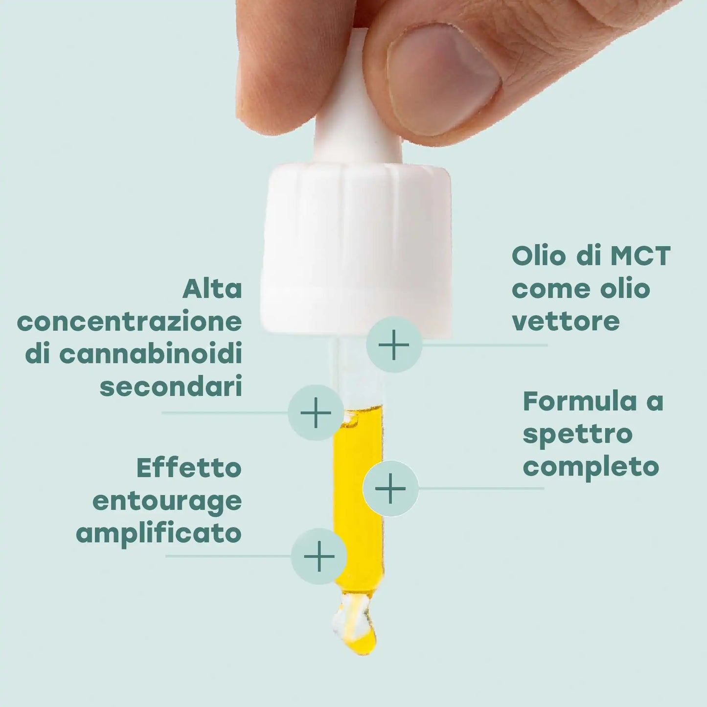 Ingredienti dell'olio di CBD