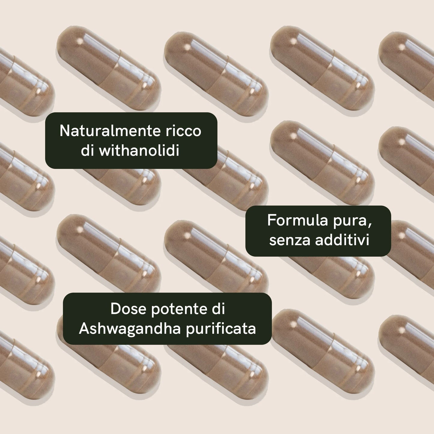 Capsule di Ashwagandha