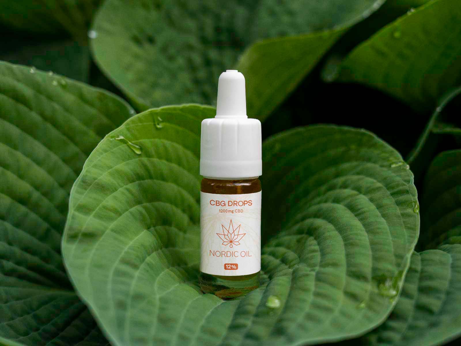 Una bottiglia di Olio CBG (12%) poggia su una pianta verde.