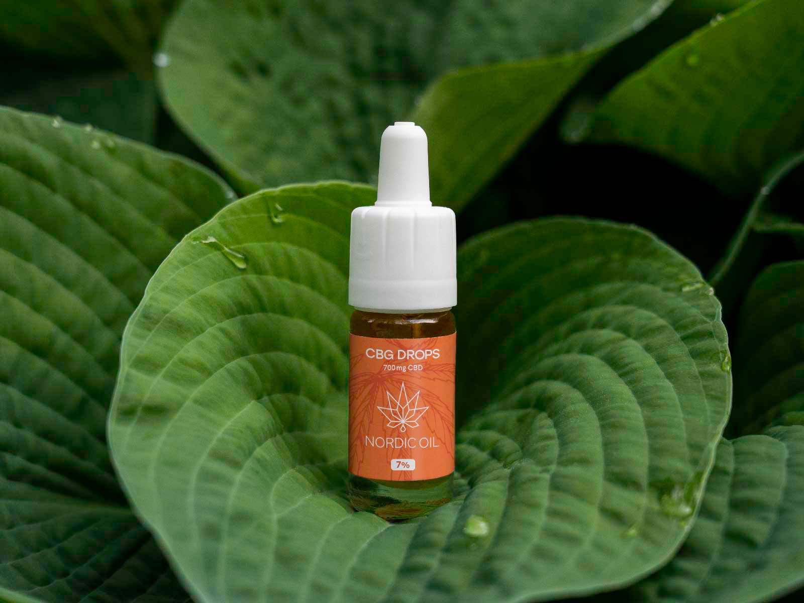 Una bottiglia di Olio CBG (7%) è su una foglia verde.