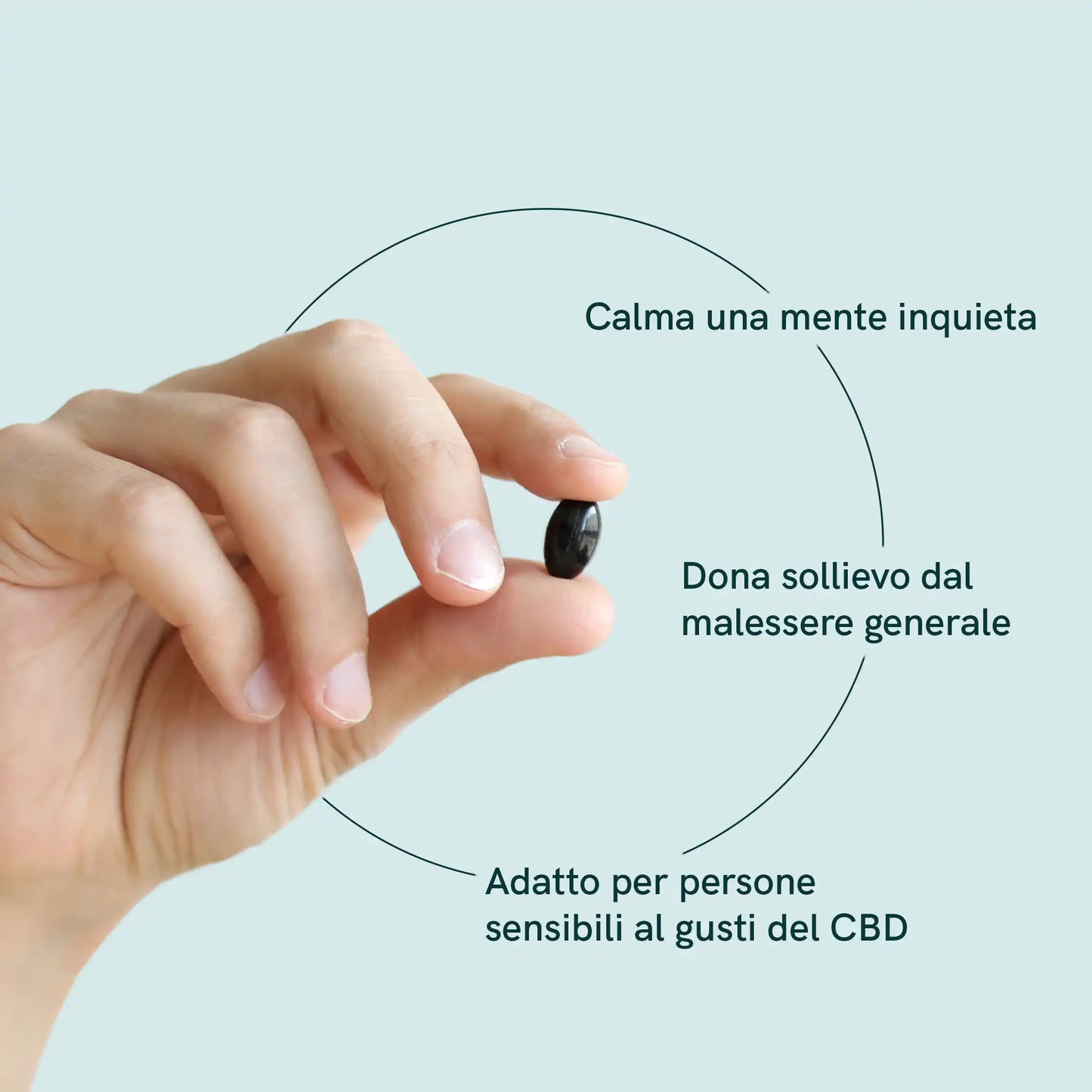 CBD Capsule (960mg)