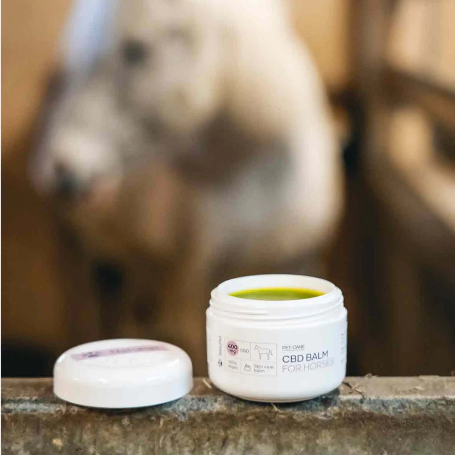 un balsamo CBD aperto si trova davanti a un cavallo bianco