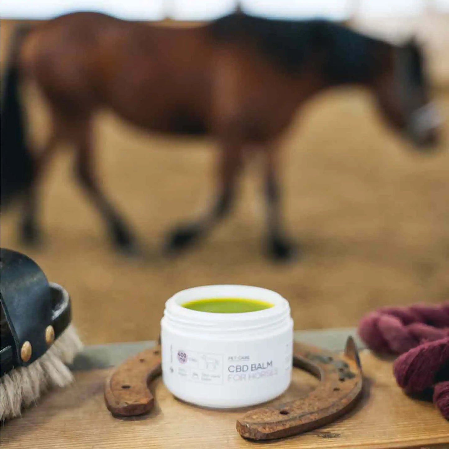 un balsamo CBD si trova in un ferro di cavallo mentre un cavallo trotta sullo sfondo