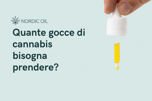 Quante gocce di cannabis bisogna prendere