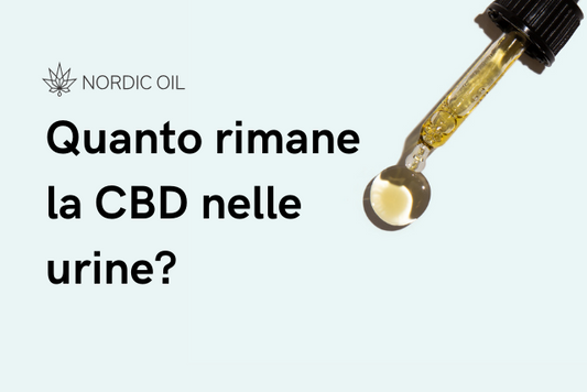 pipetta con olio di CBD