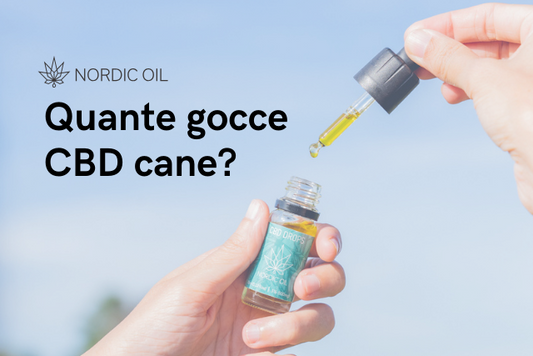 olio di cbd