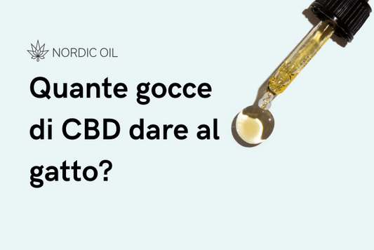 oilo di cbd