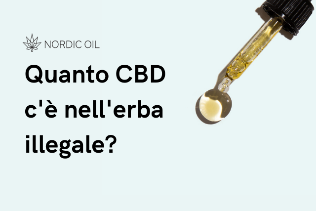 olio di cbd