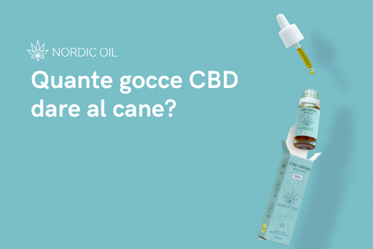 olio di cbd