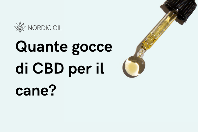 pipetta con olio di CBD