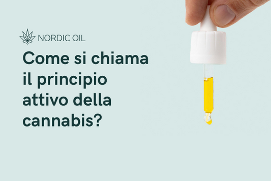 olio di cbd