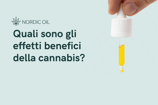 oilo di cbd