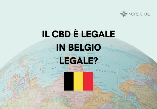 Terra con bandiera belga
