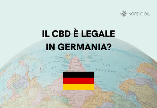 bandiera della Germania con globo sullo sfondo