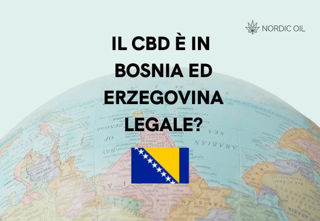 Globo con bandiera della Bosnia-Erzegovina