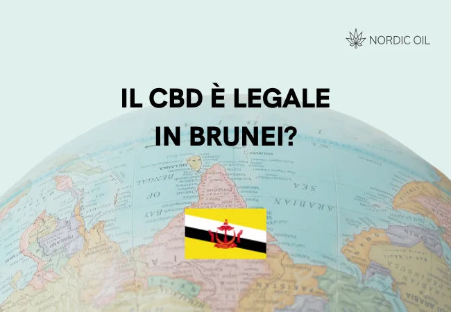 Il CBD è legale in Burkina Faso?