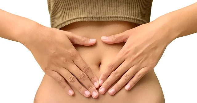 MSM e salute dell'intestino: alleviare l'infiammazione, migliorare la digestione