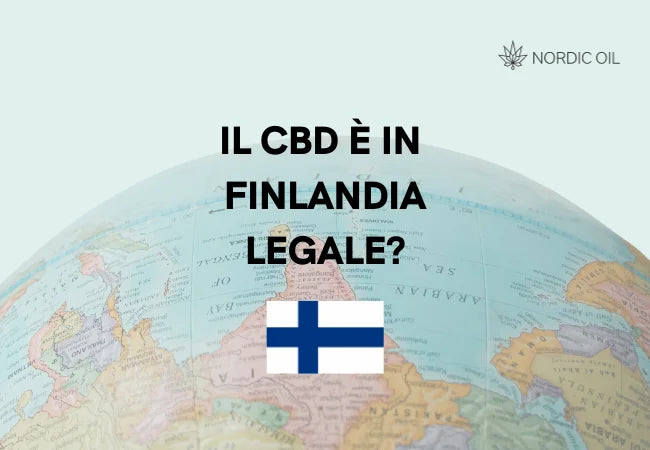 Globo con bandiera della Finlandia