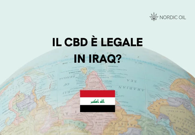 Il CBD è legale in Iraq?