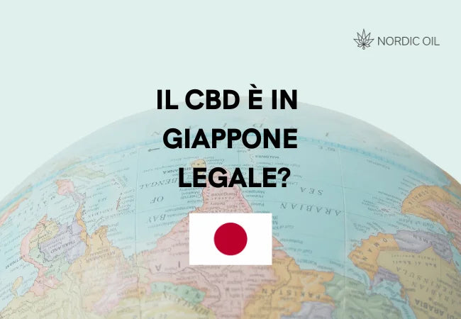 bandiera del Giappone con globo sullo sfondo