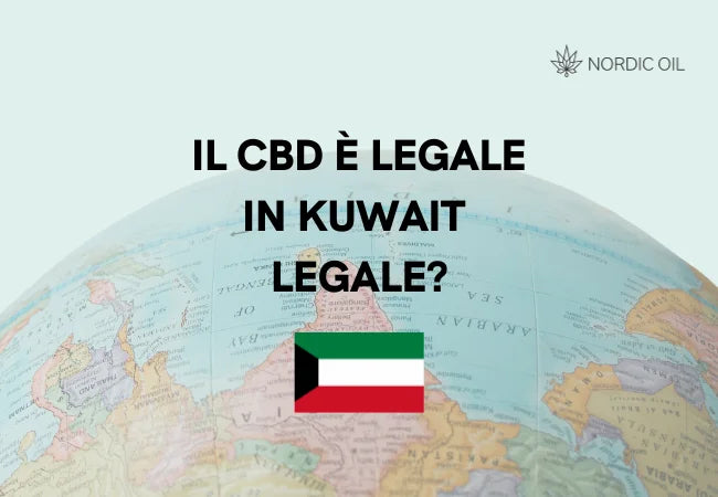 bandiera del kuwait con globo sullo sfondo