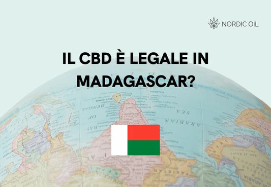 bandiera del madagascar con globo sullo sfondo