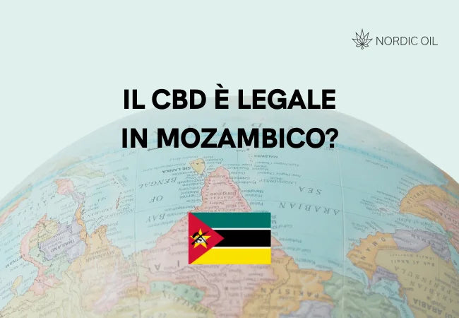bandiera di mozambico con globo sullo sfondo