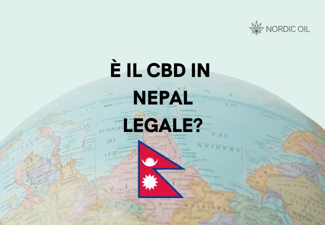 bandiera del nepal con globo sullo sfondo