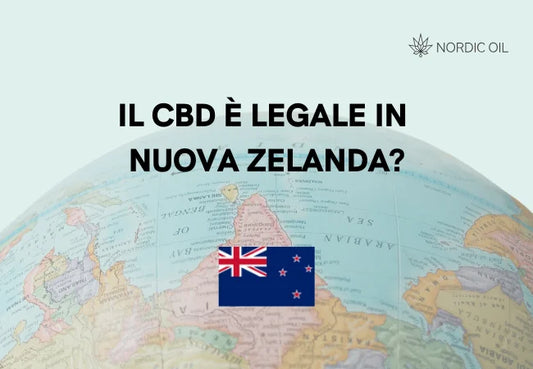 bandiera della nuova zelanda con globo sullo sfondo