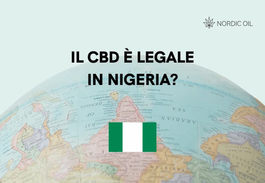 Bandiera della Nigeria con globo sullo sfondo