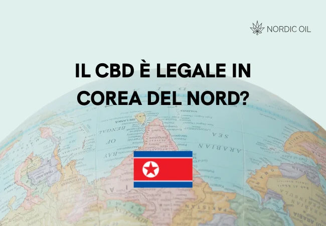 bandiera della corea del nord con globo sullo sfondo