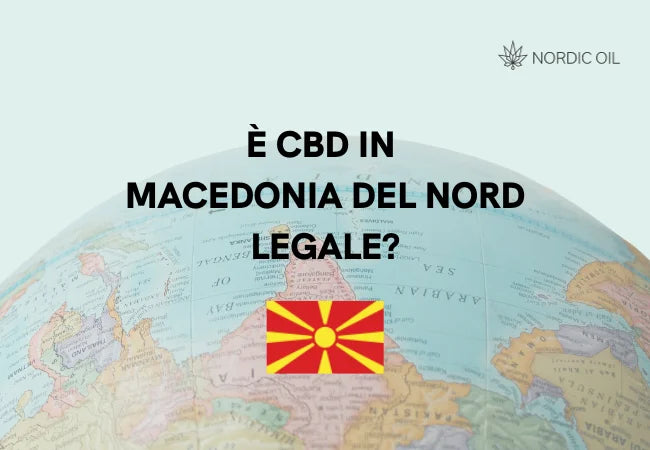 Globo con bandiera della Macedonia