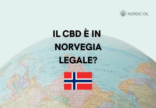 Globo con bandiera della Norvegia