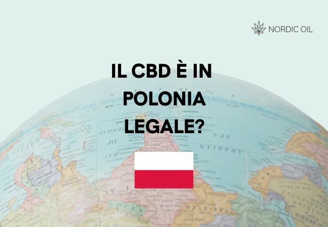 Globo con bandiera della Polonia
