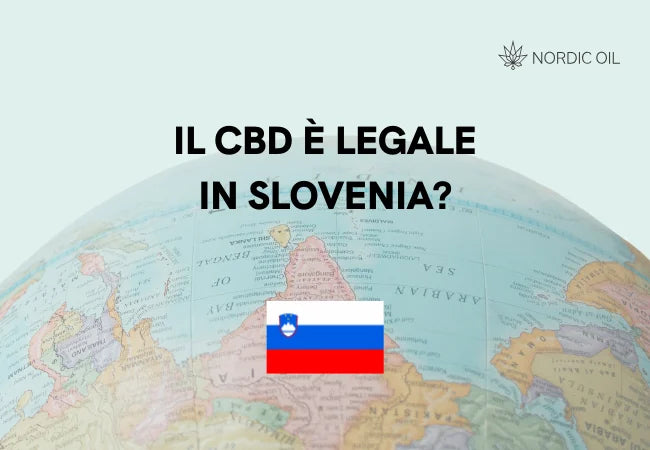 Globo con bandiera della Slovenia