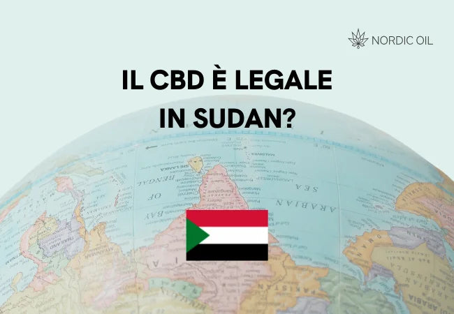 bandiera del sudan con globo sullo sfondo