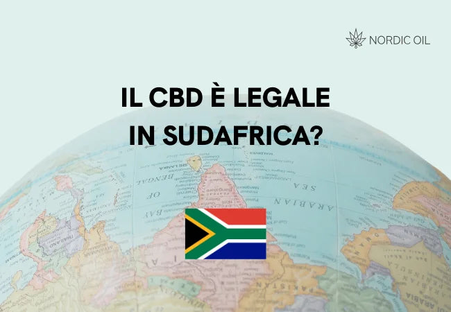 bandiera del Sudafrica con globo sullo sfondo