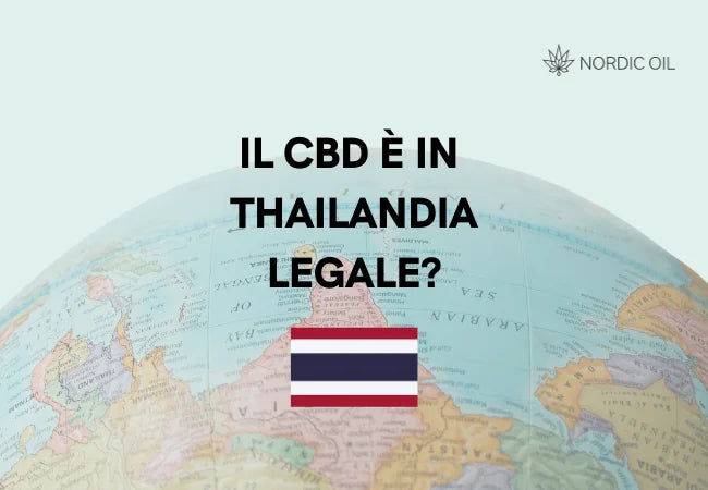 Bandiera della Thailandia con globo sullo sfondo