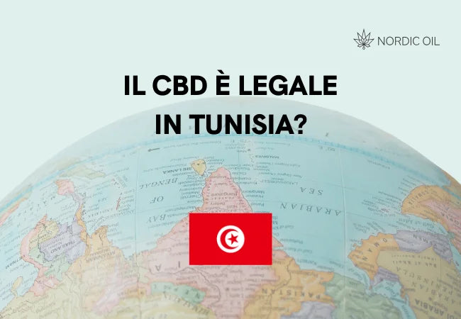 bandiera della tunisia con globo sullo sfondo
