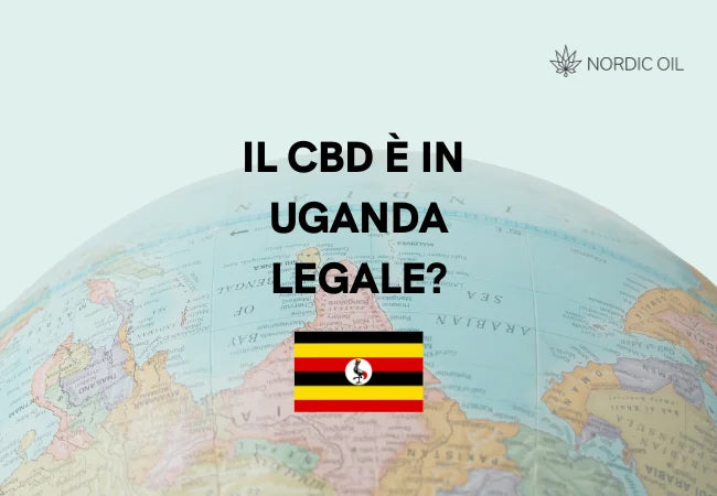 bandiera dell'uganda con globo sullo sfondo