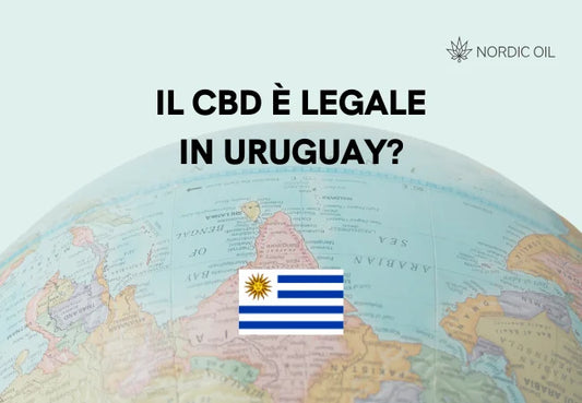 Il CBD è legale in Uruguay?