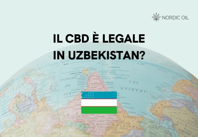 bandiera dell'uzbekistan con globo sullo sfondo