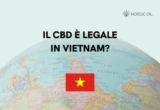 Vietnam lagge con il globo sullo sfondo