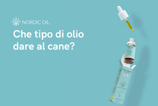 Che tipo di olio dare al cane