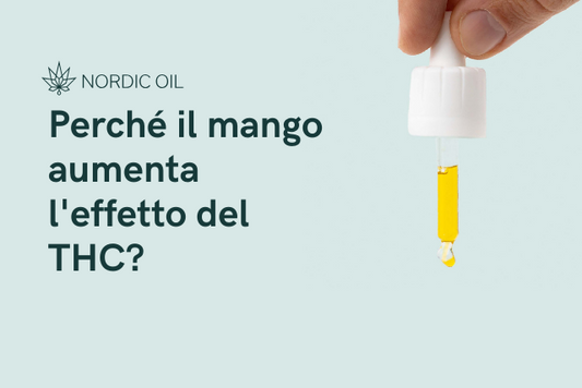 pipetta con olio di CBD