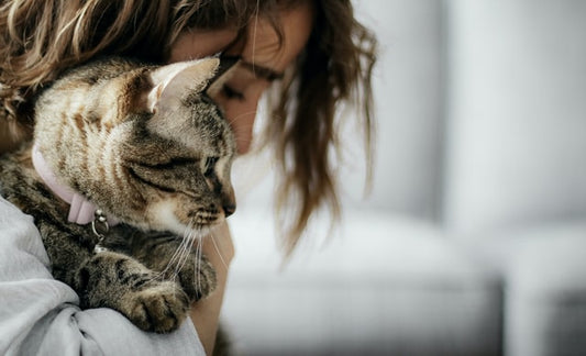 Una donna tiene in mano un gatto.